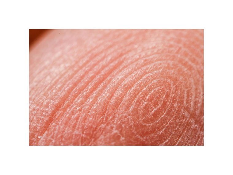 Mitakon Zhongyi  20mm f/2 4.5x Super Macro Sony 4