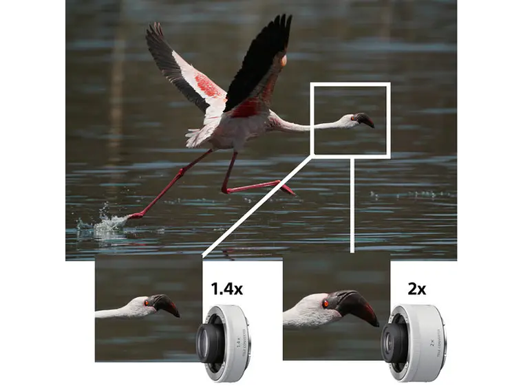 Sony Alpha FE 200-600mm F5.6-6.3 G OSS 3