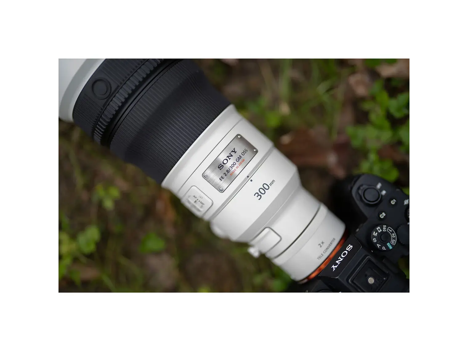Lente Sony  FE 300mm F2.8 GM OSS 11