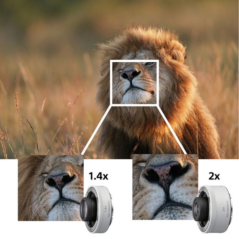 Lente Sony  FE 600mm F4 GM OSS 8