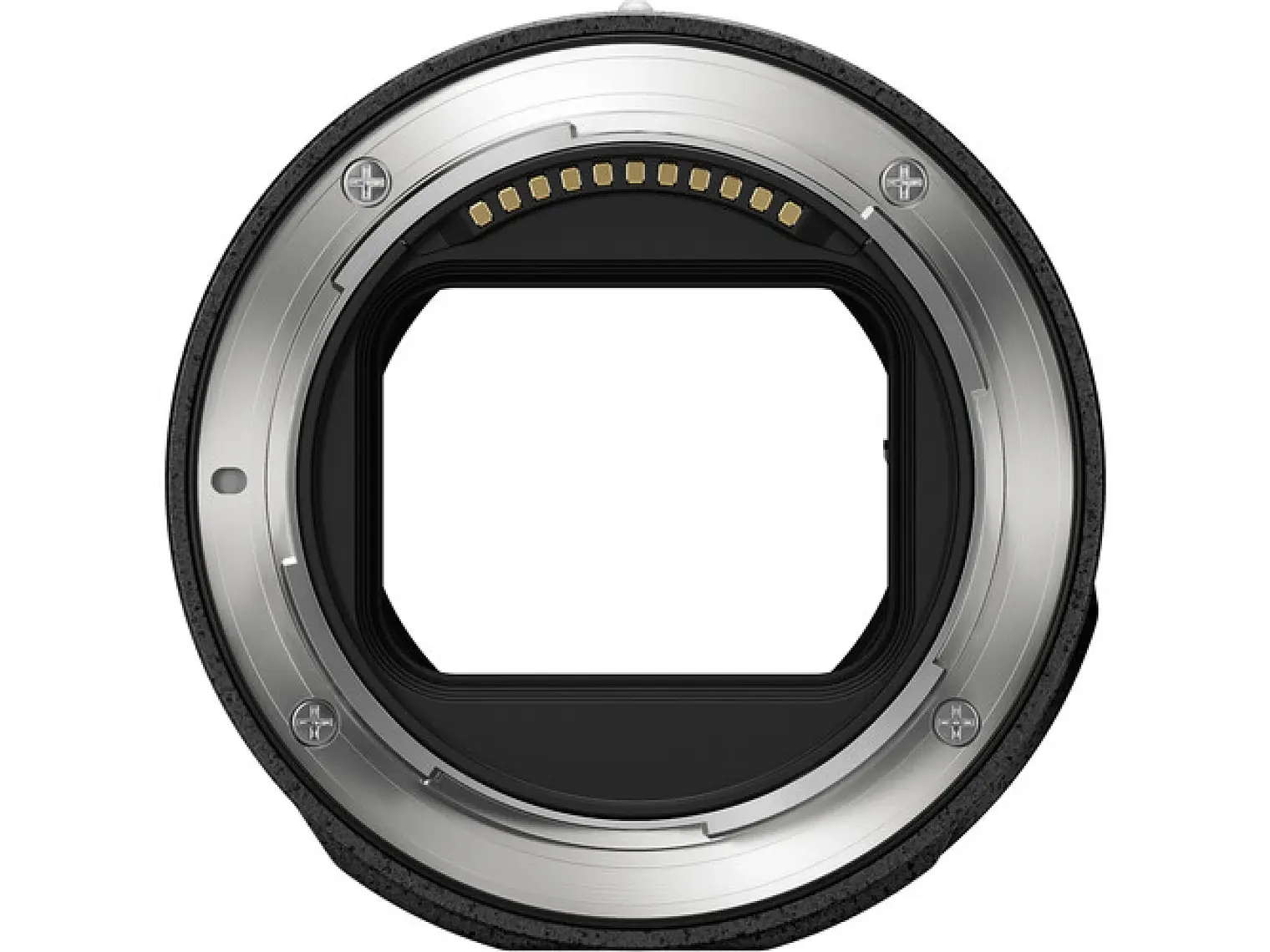 Canon RF 100MM F2.8L Macro IS USM 4