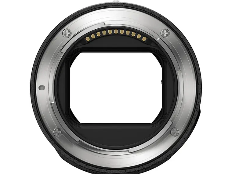 Canon RF 100MM F2.8L Macro IS USM 4