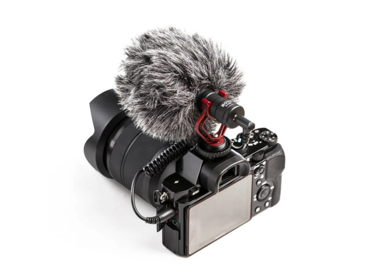 BOYA BY-MM1 Microfono Compacto Cardioide 4