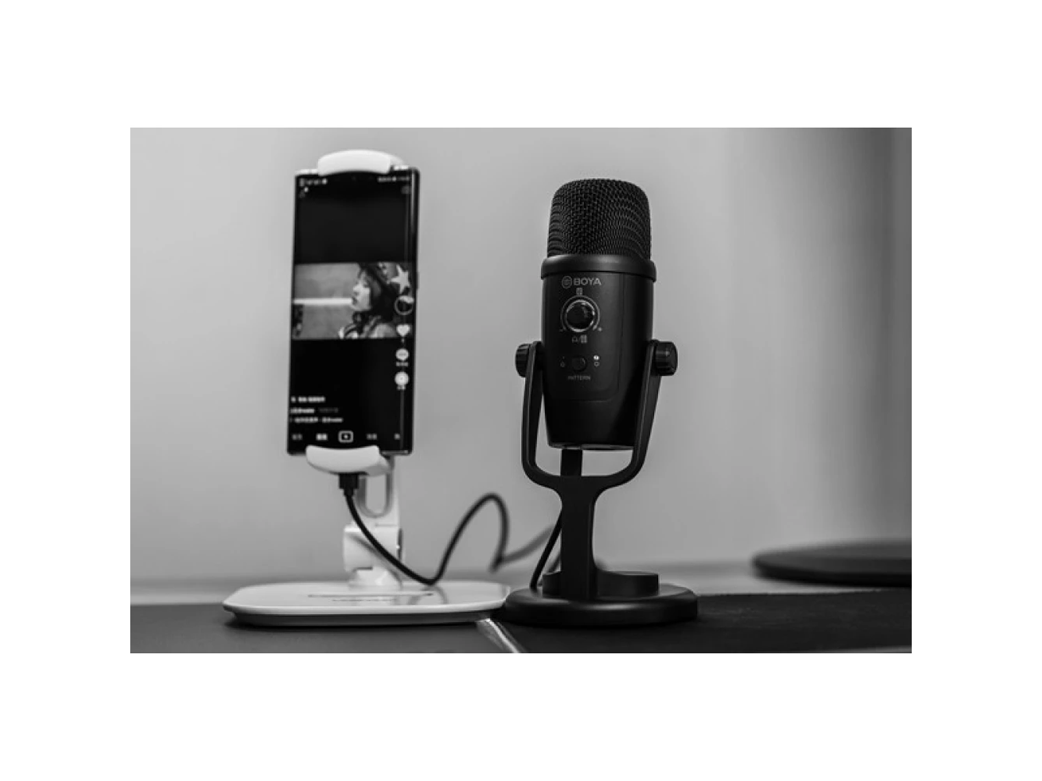 BOYA BY-PM500 Microfono USB y USB-C para Win, Mac y telefonos (USB-C) 2