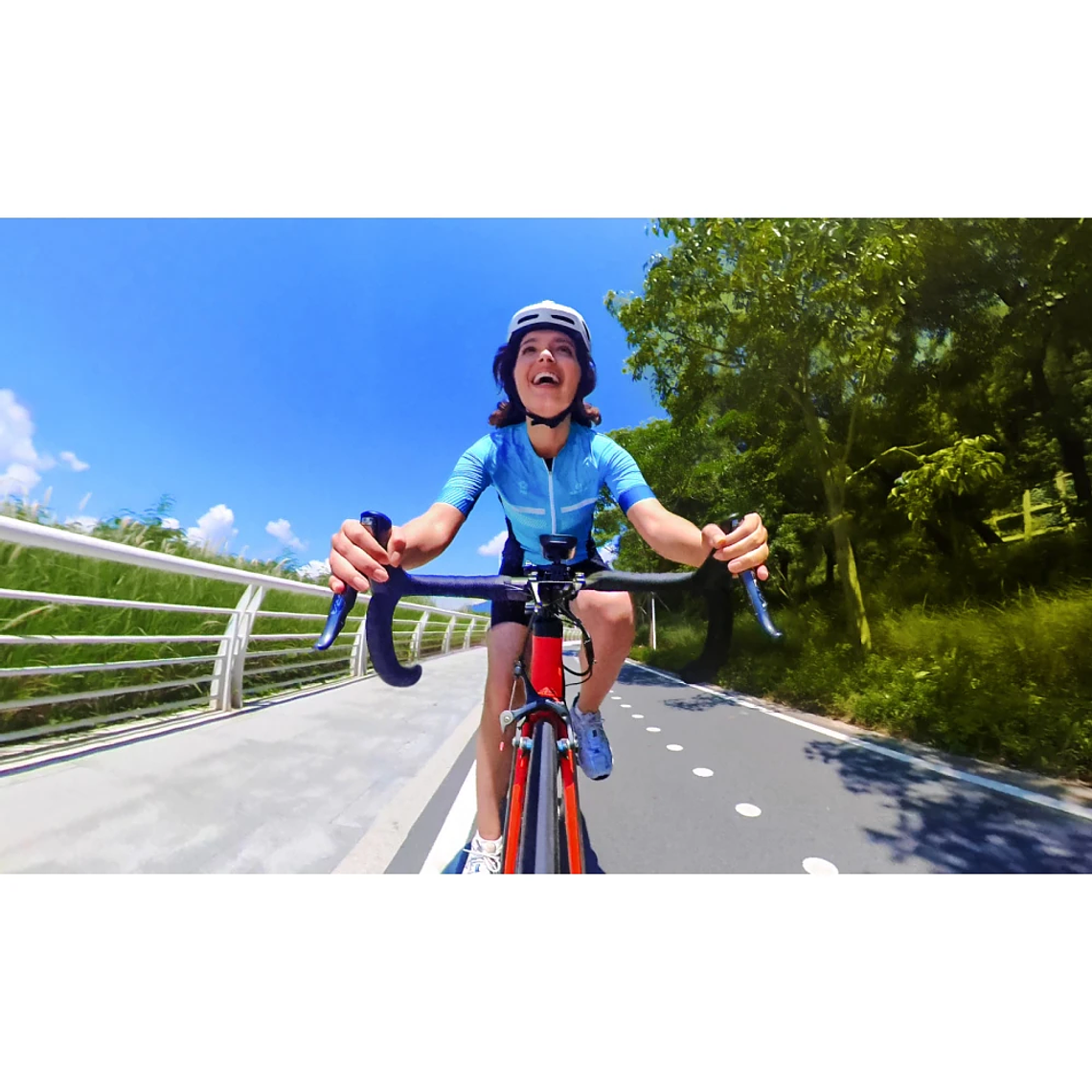 Bike Handlebar Mount 2