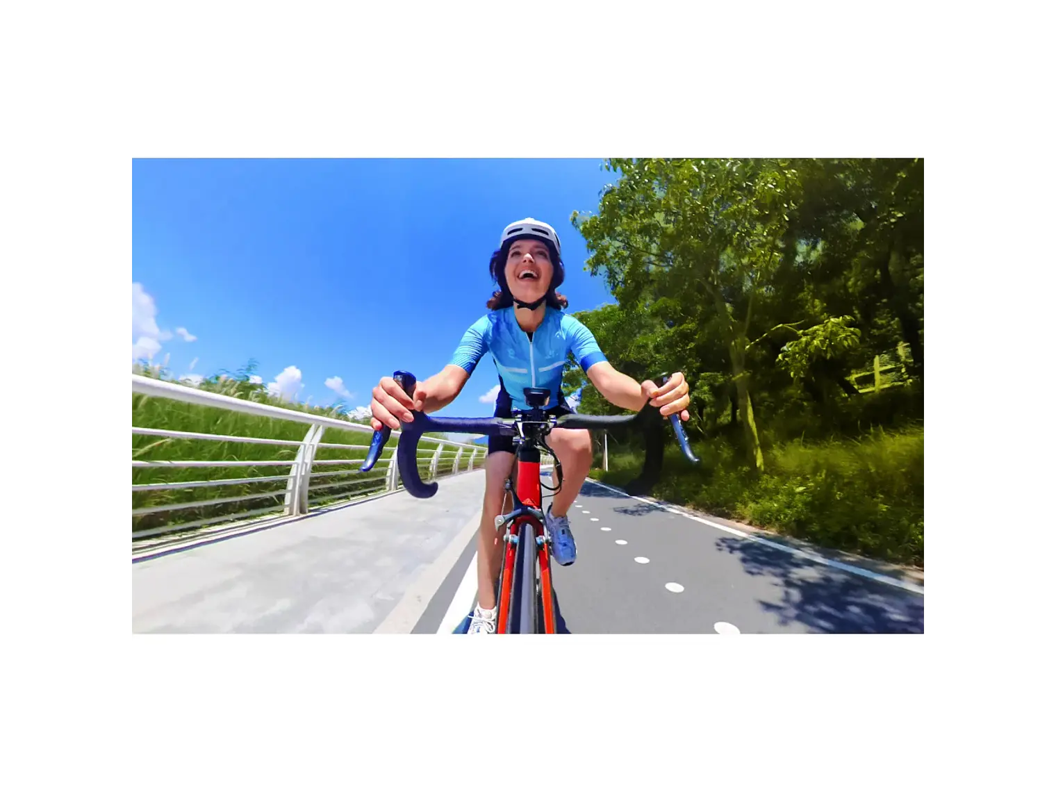 Bike Handlebar Mount 2