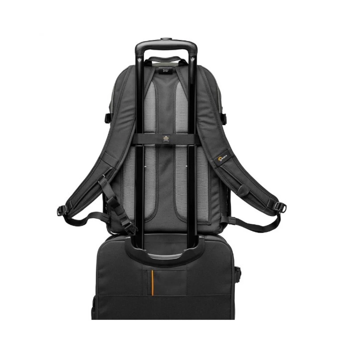 Lowepro Truckee BP 250 2