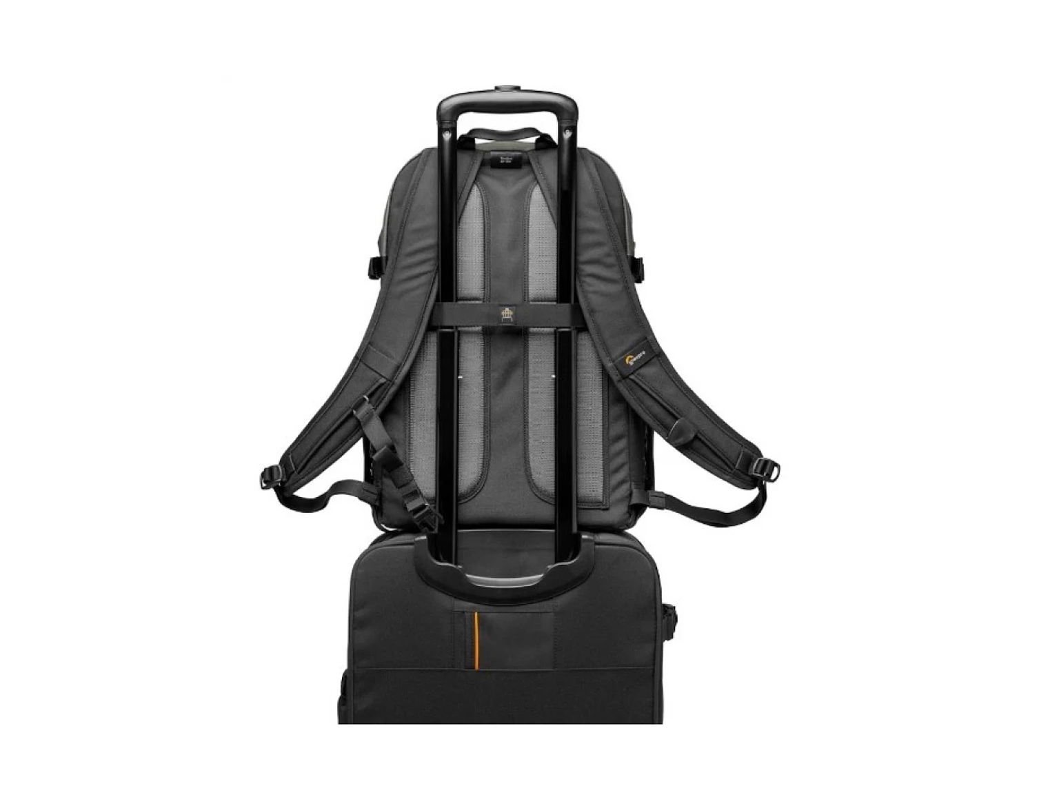 Lowepro Truckee BP 250 2