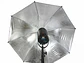 Golden Eagle  Paraguas Plateado 101cm  - Miniatura 1