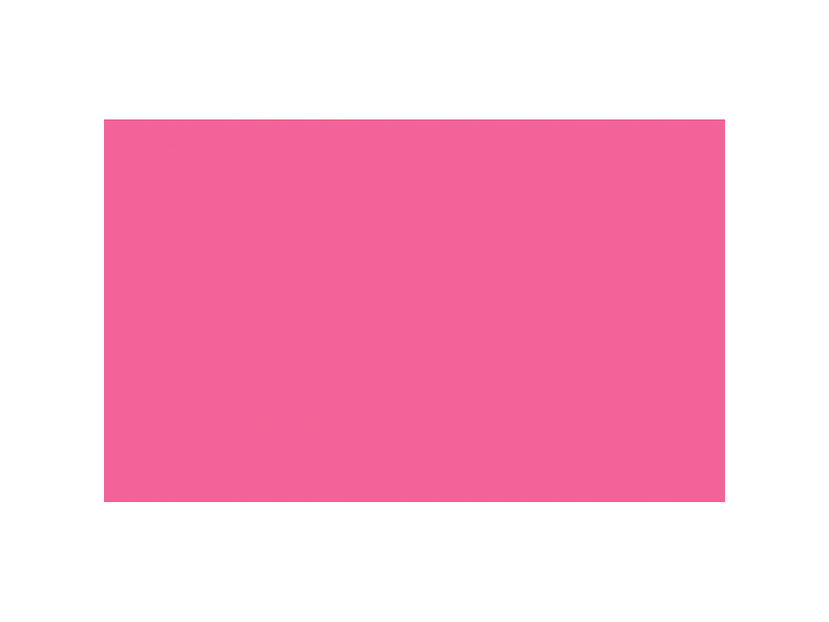 Fondo de Papel BD 2.72 x 11 MTS Hot Pink 1