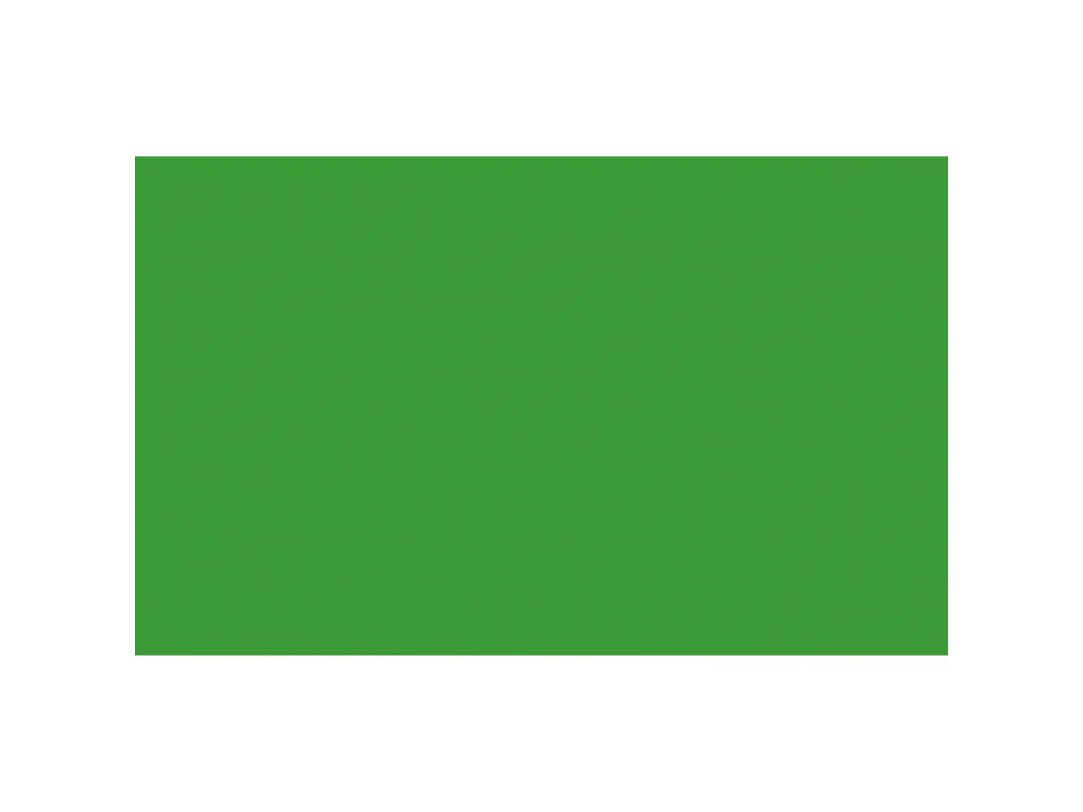 Fondo de papel BD 1,35 x 11 mts Veri Green 1