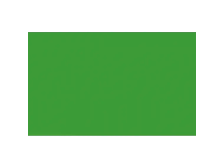 Fondo de papel BD 1,35 x 11 mts Veri Green 1