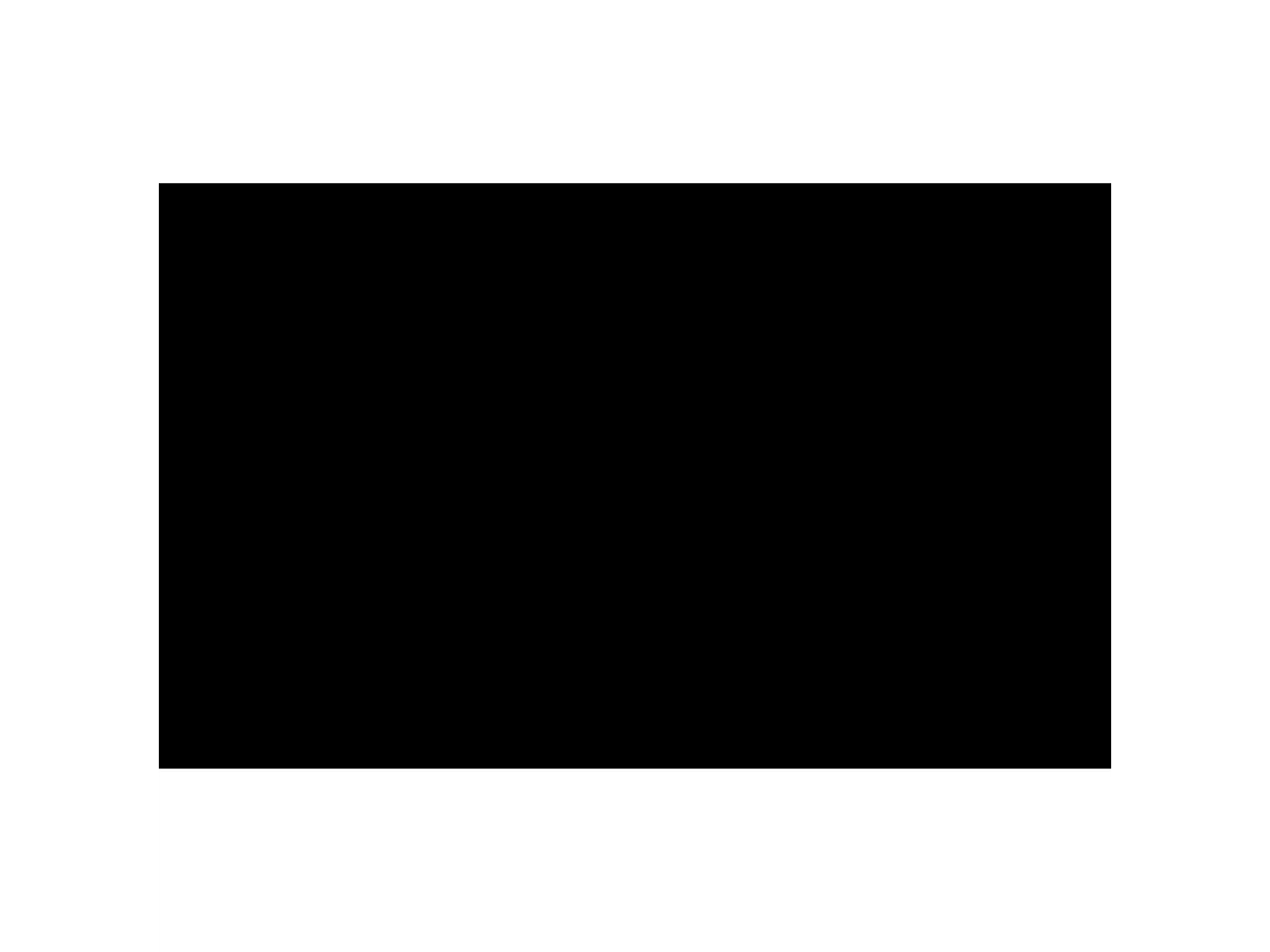 Fondo de papel BD 2,18 x 11 MTS Black 1