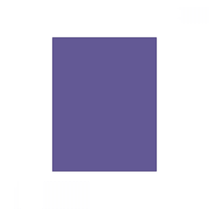 Fondo de Papel BD 2.72 x 11 MTS Purple