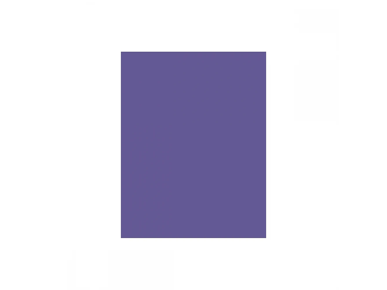 Fondo de Papel BD 2.72 x 11 MTS Purple 1