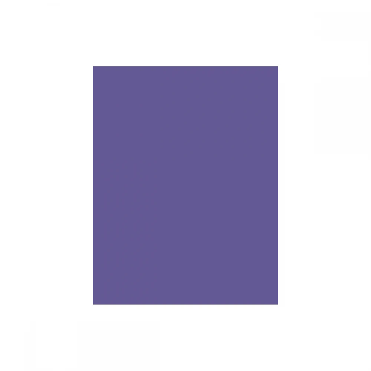 Fondo de Papel BD 2.72 x 11 MTS Purple 1