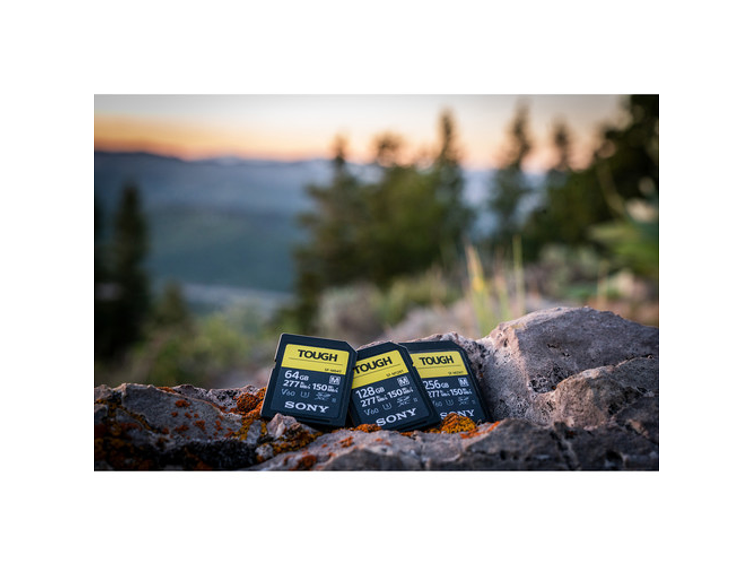 Sony SDXC UHS-II SF-M TOUGH 128GB 5