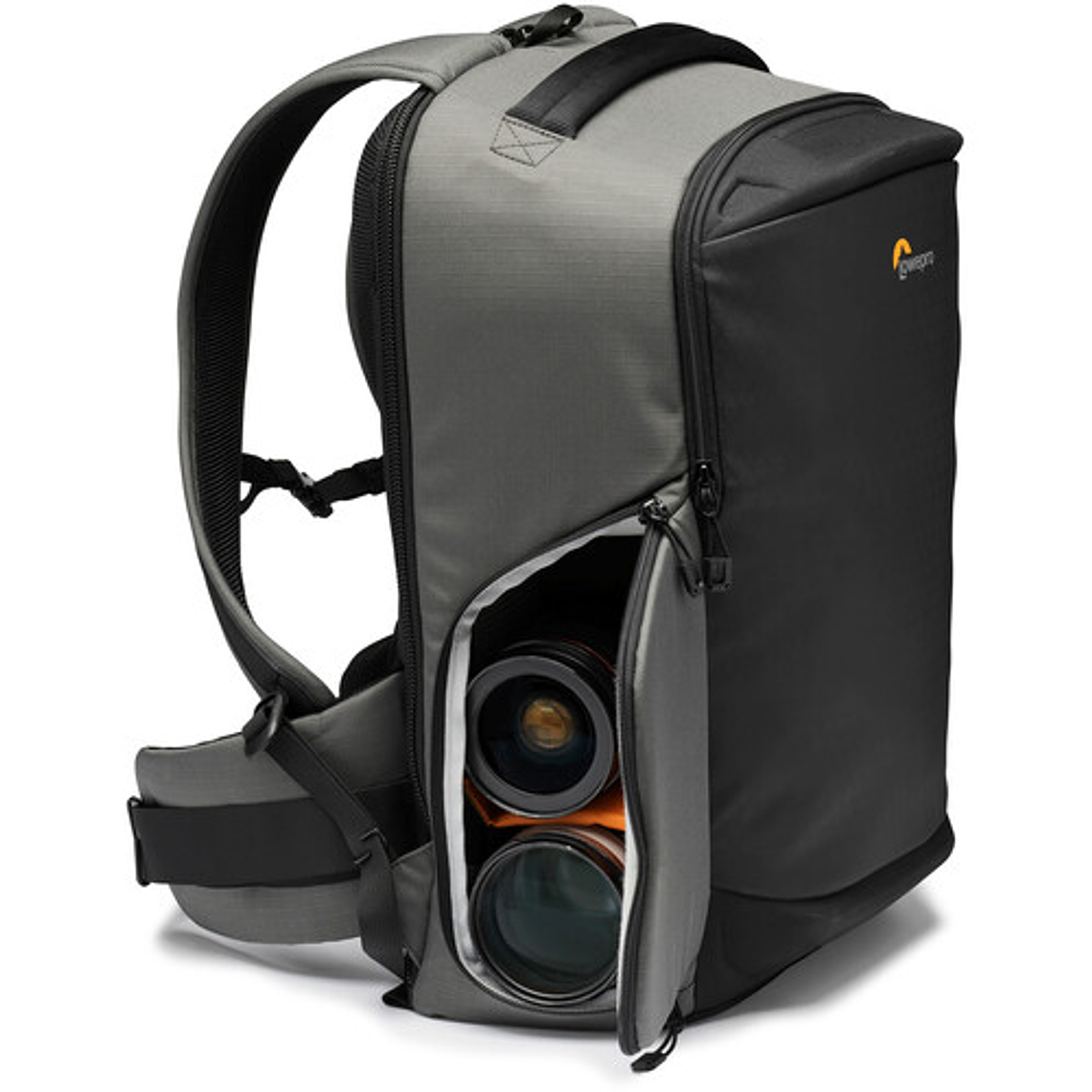 Lowepro BP300 AW-III Grey	 3