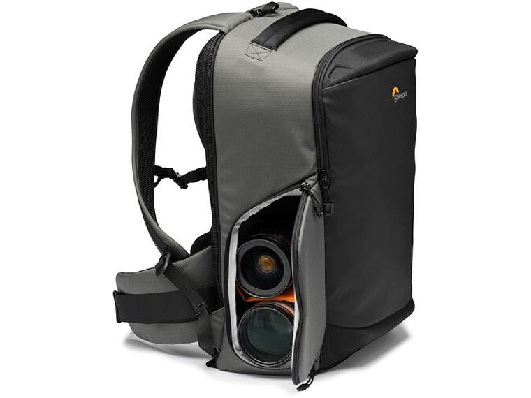 Lowepro BP300 AW-III Grey	 3