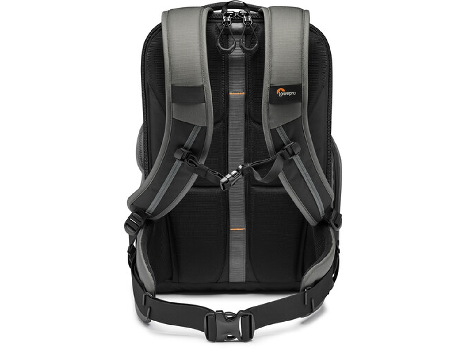 Lowepro BP300 AW-III Grey	 5