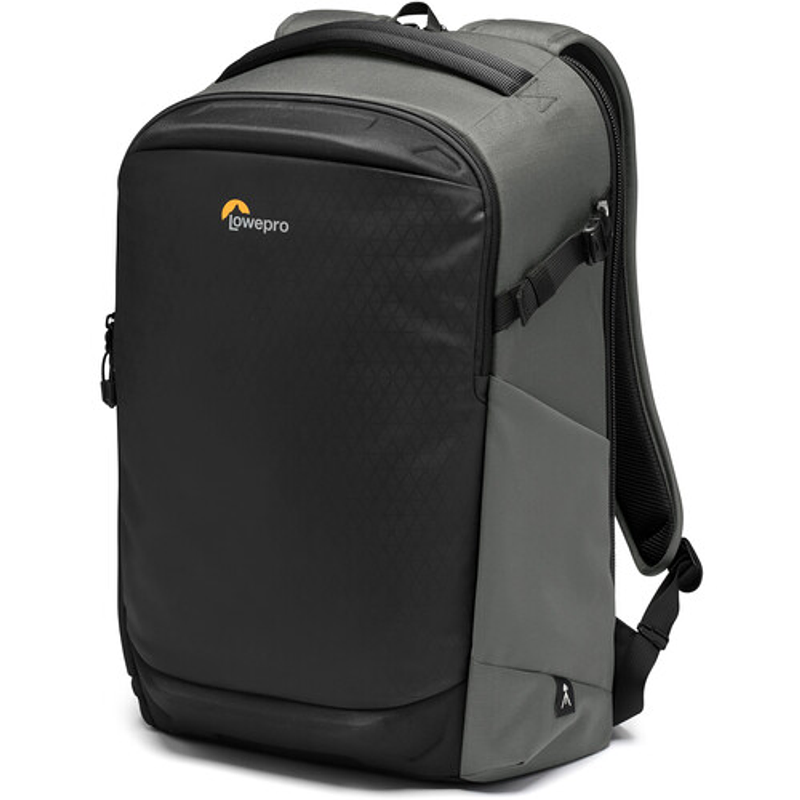 Lowepro BP300 AW-III Grey	 1