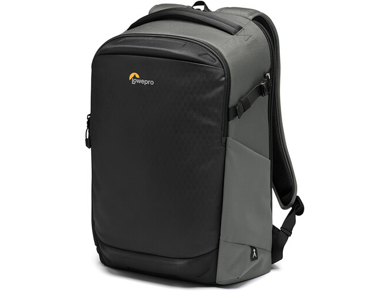 Lowepro BP300 AW-III Grey	 1