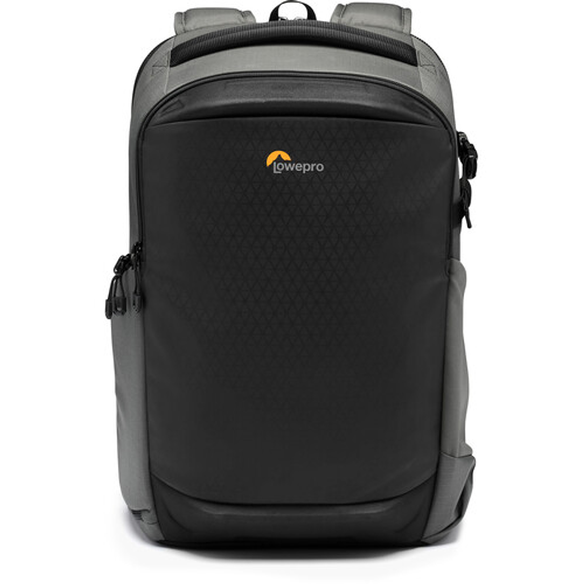 Lowepro BP300 AW-III Grey	 2