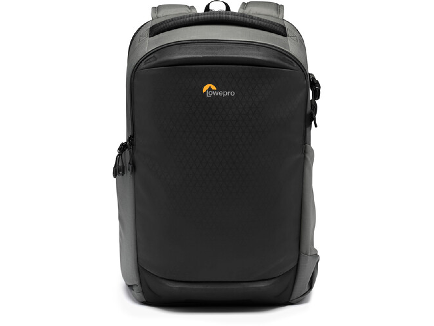 Lowepro BP300 AW-III Grey	 2