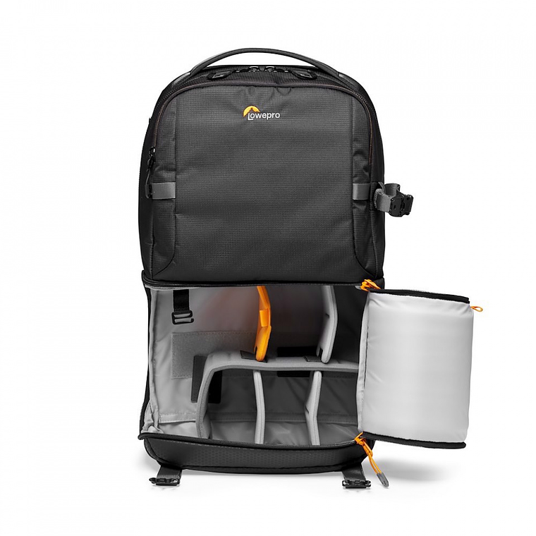 Lowepro Fastpack BP 250 AW III (Black) 2