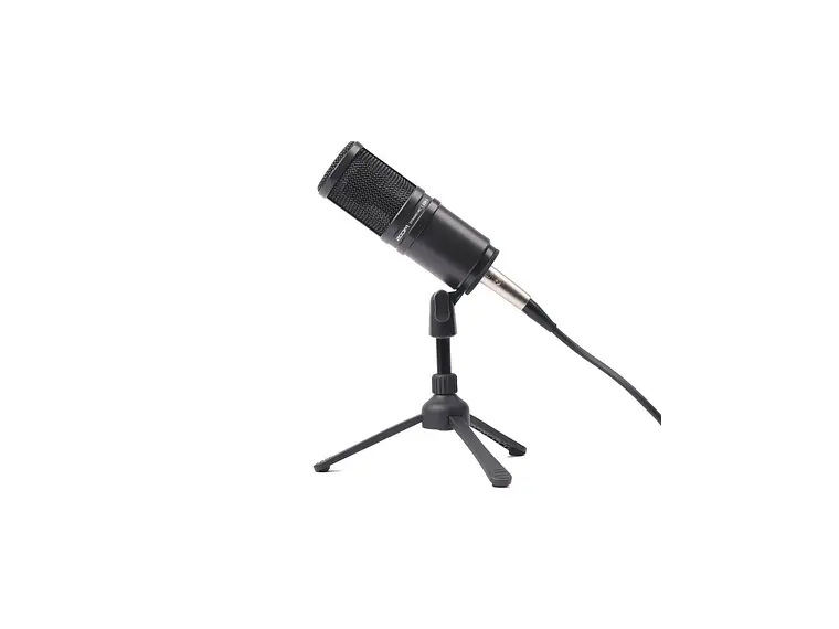 Zoom ZDM-1 Micrófono dinámico 2