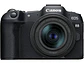 Canon EOS R8 RF 24-50mm f/4.5-6.3 IS STM	 - Miniatura 1