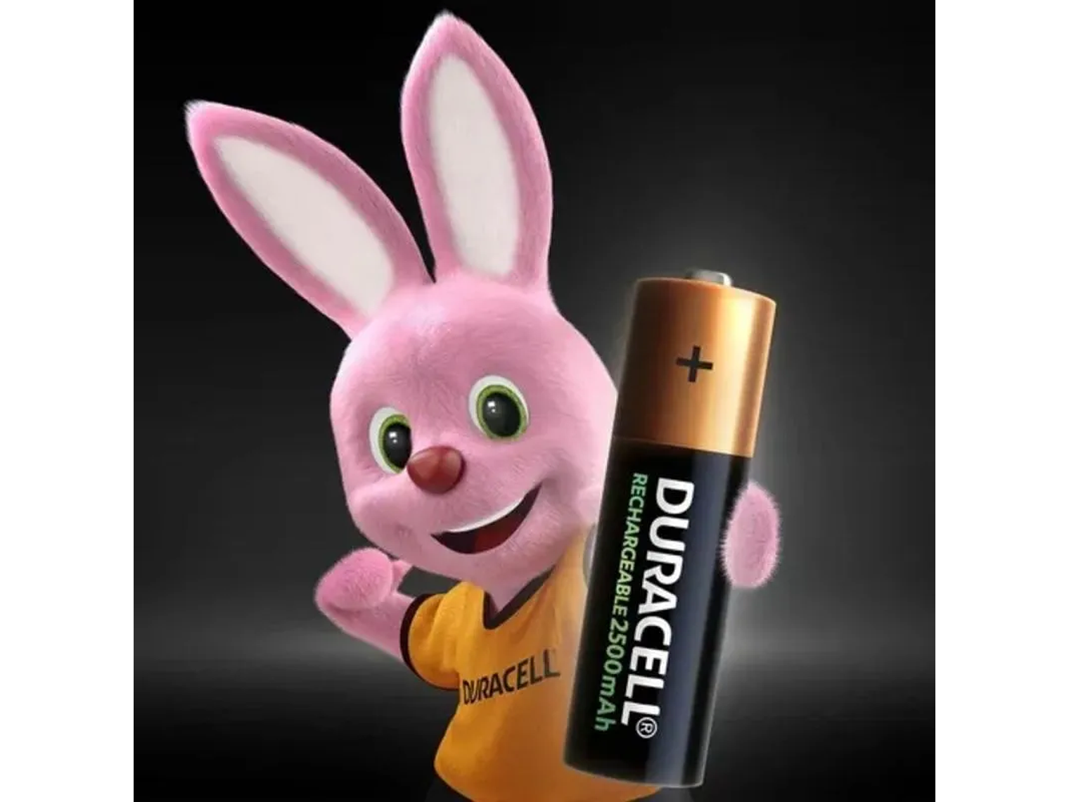 Duracell Pilas RECARGABLES 2500MAH AA X4 2