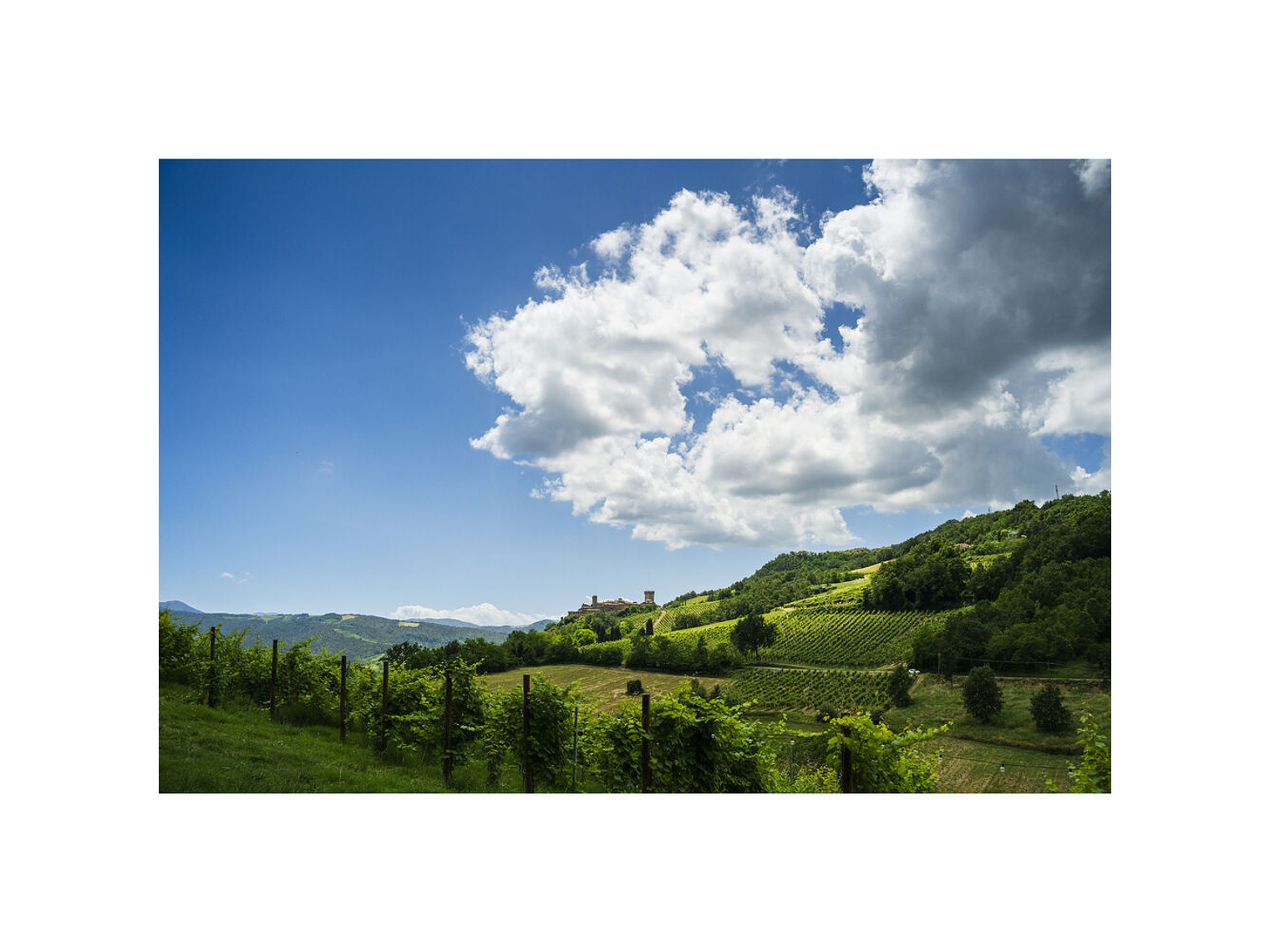 Tamron 28-300mm f/4-7.1 Di III VC VXD (Sony E) 7