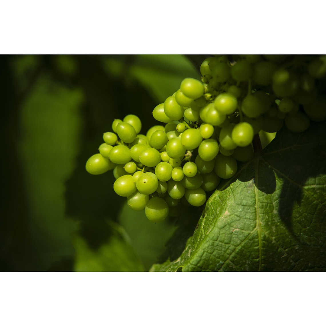 Tamron 28-300mm f/4-7.1 Di III VC VXD (Sony E) 9