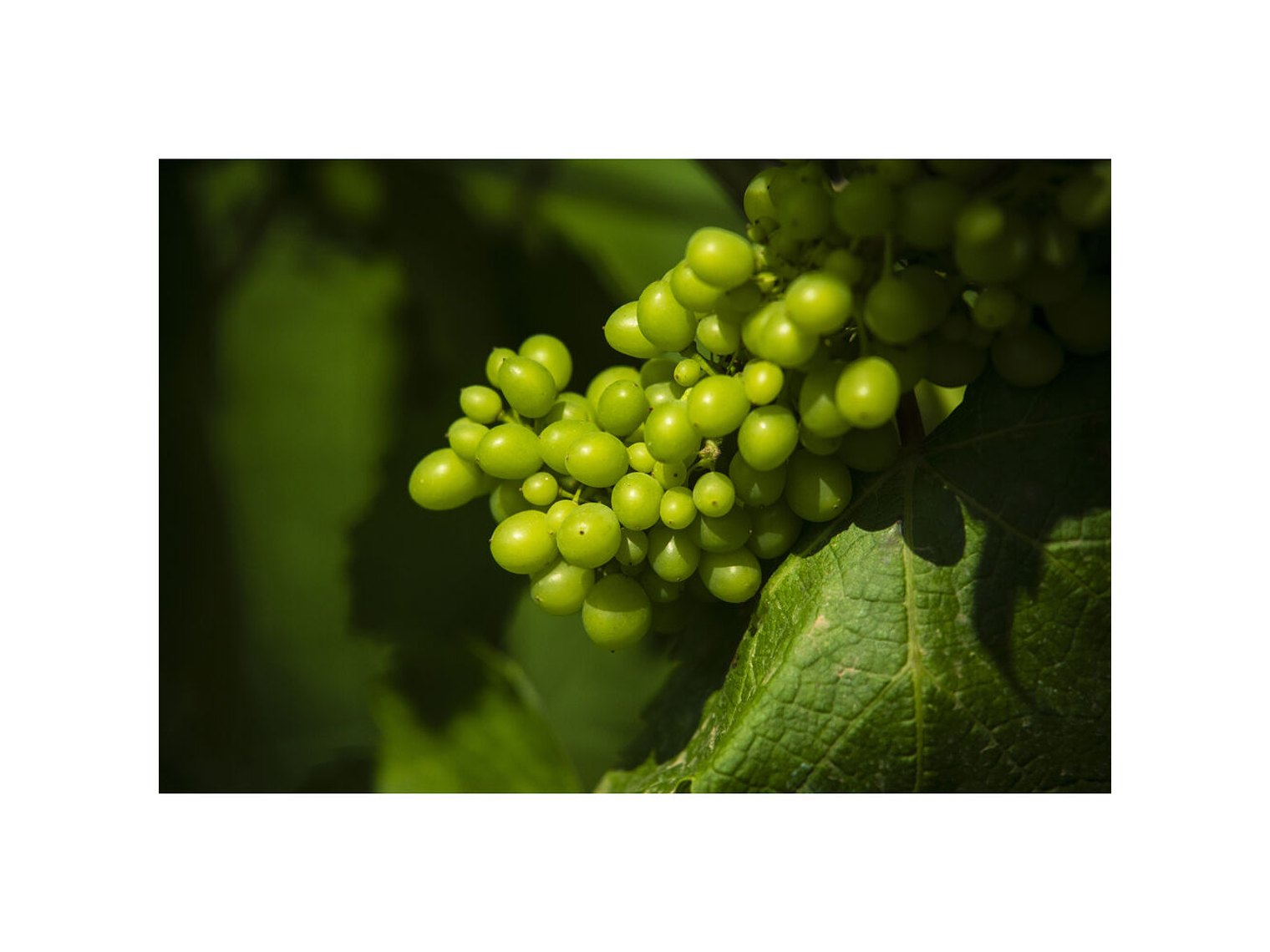 Tamron 28-300mm f/4-7.1 Di III VC VXD (Sony E) 9