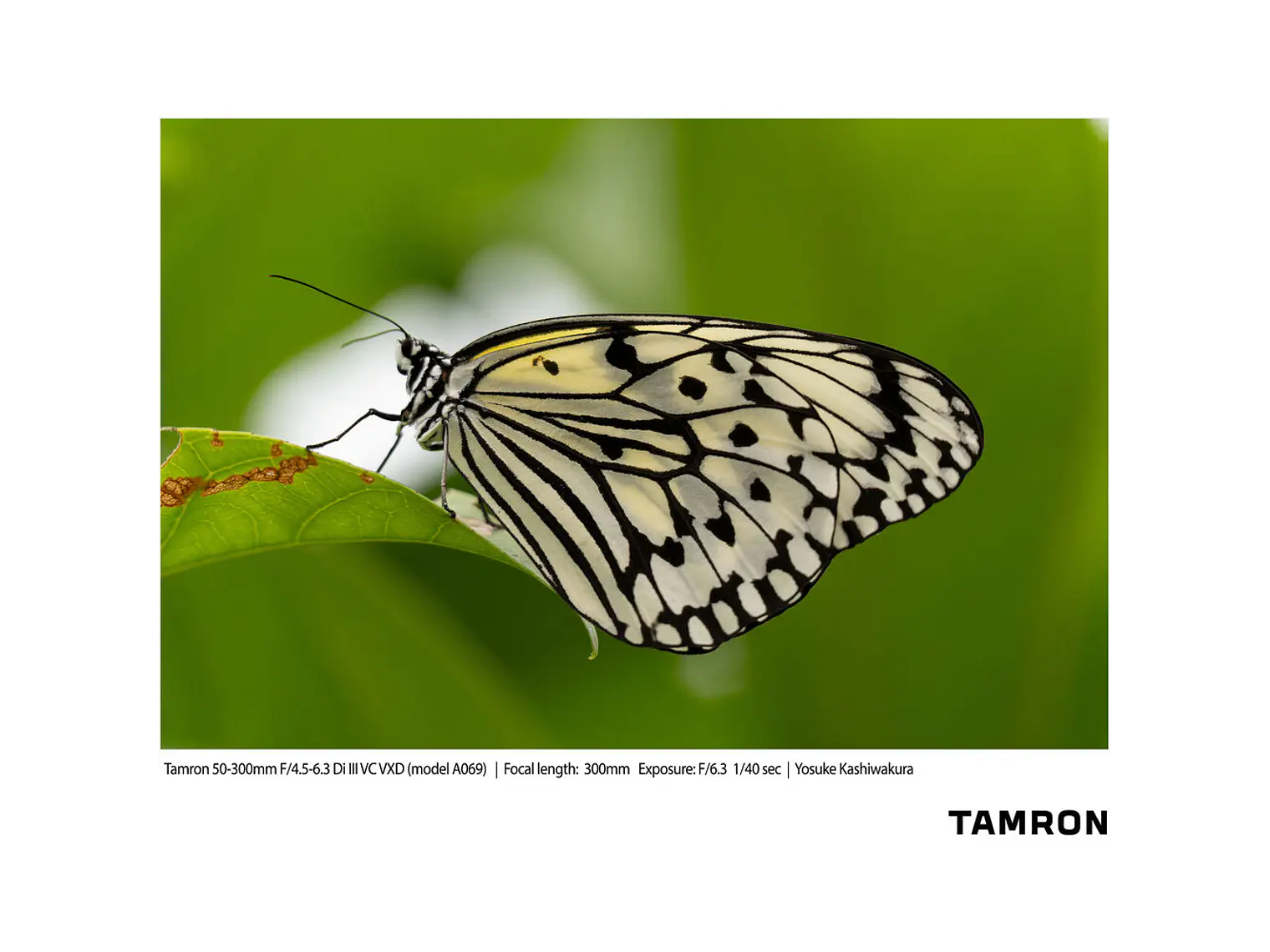 Tamron 50-300mm F/4,5-6,3 Di III VC VXD SONY 9