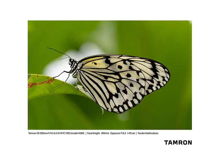 Tamron 50-300mm F/4,5-6,3 Di III VC VXD SONY 9