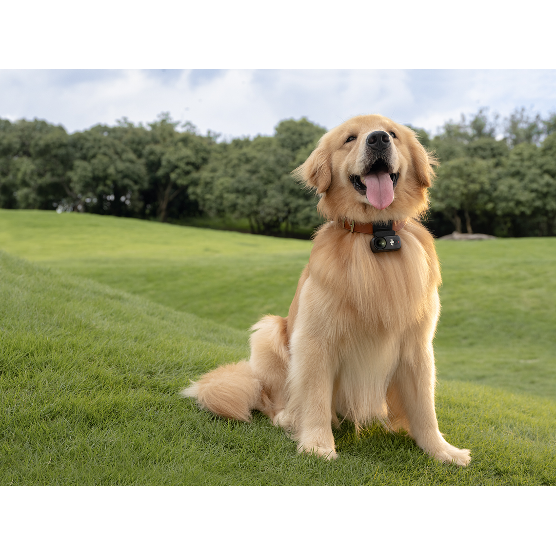 DJI OSMO NANO 128GB 4