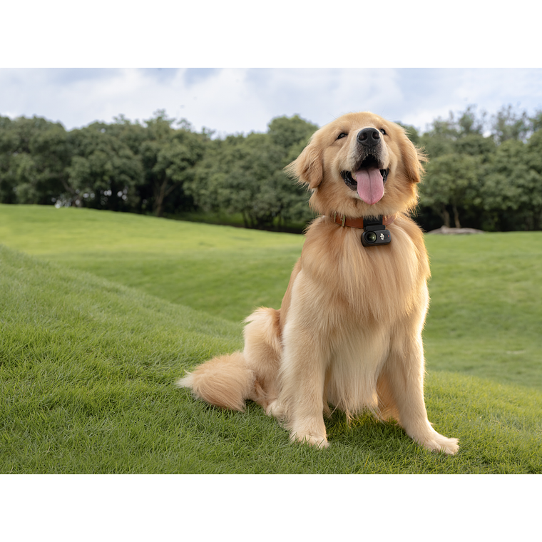 DJI OSMO NANO 128GB 4