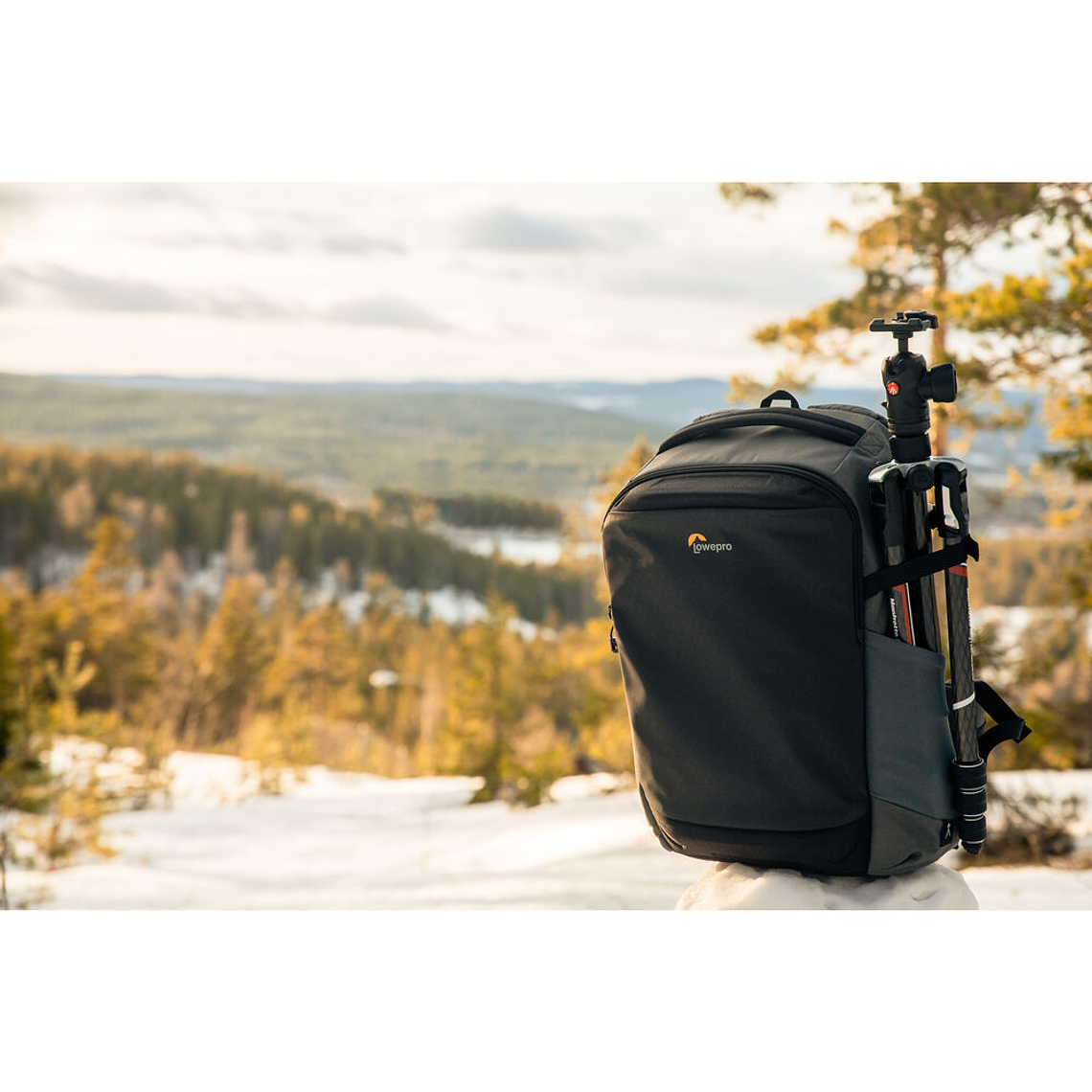 Lowepro Flipside BP400 AW III gris 5