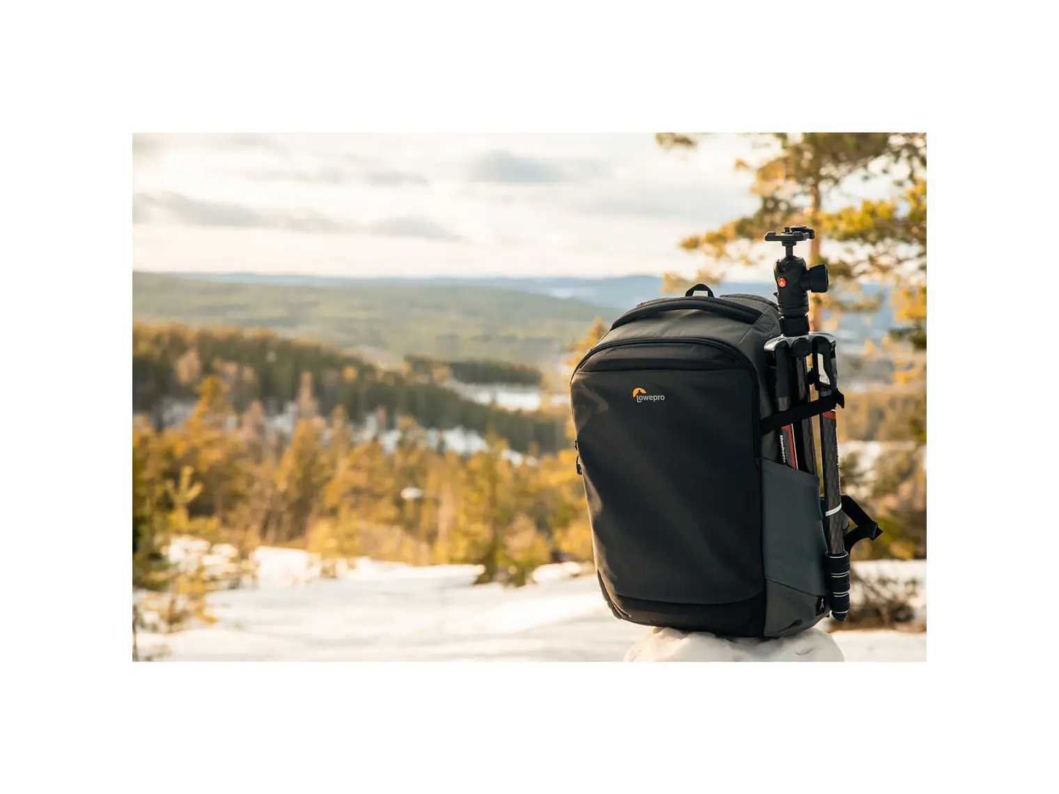 Lowepro Flipside BP400 AW III gris 5