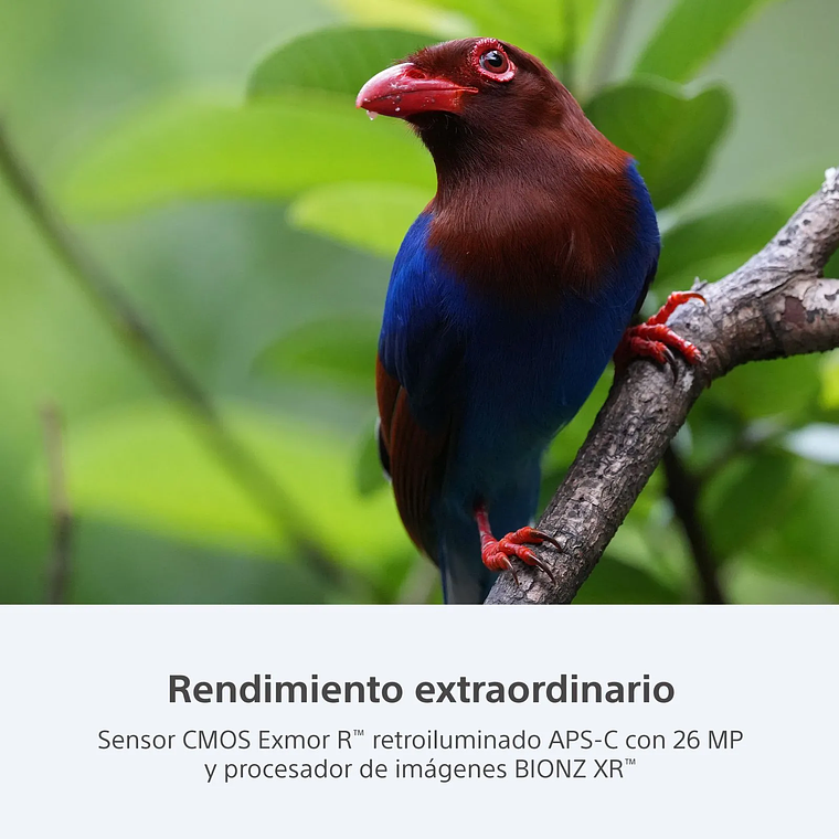 Sony A6700 solo cuerpo 7