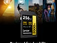  Lexar Professional de 256GB, 2000x, UHS-II SDXC - Miniatura 3