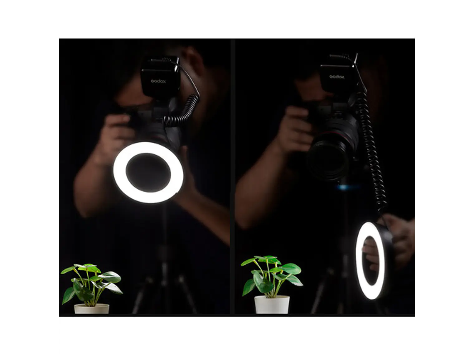 Godox Ring72 Macro LED  4