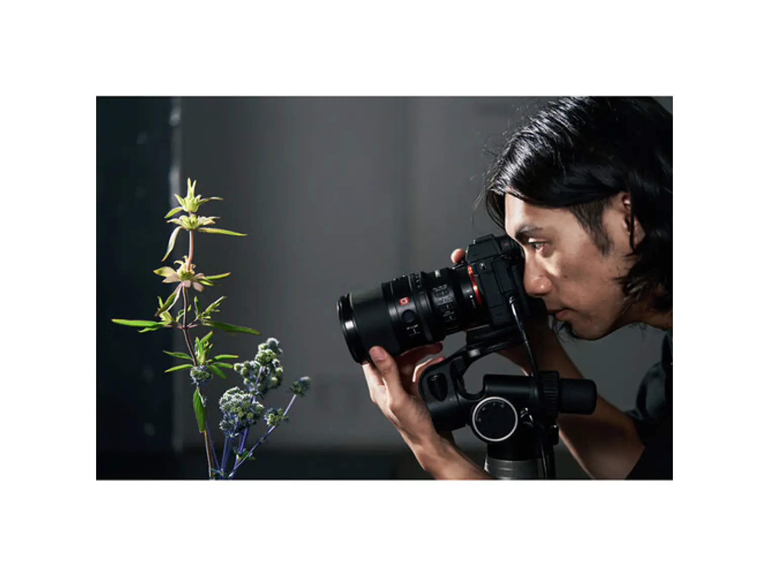 Lente Sony FE 100 mm F2.8 Macro GM OSS 7