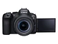 Canon EOS R6 Mark II RF 24-105mm f/4-7.1 IS STM - Miniatura 2