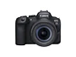 Canon EOS R6 Mark II RF 24-105mm f/4-7.1 IS STM - Miniatura 1