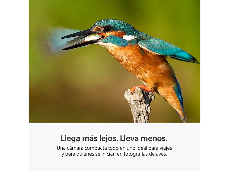 RX10 V: zoom de 24-600 mm (PREVENTA) 6