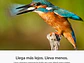 RX10 V: zoom de 24-600 mm (PREVENTA) - Miniatura 6