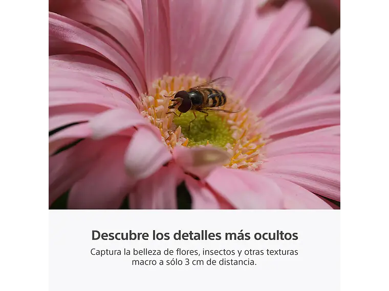 RX10 V: zoom de 24-600 mm (PREVENTA) 7